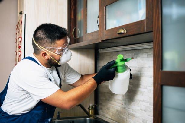 Best Pest Inspection Near Me  in Bremerton, WA