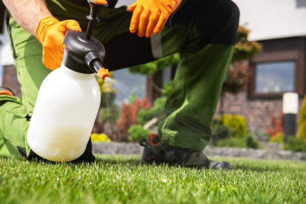 Flea Control Services in Bremerton, WA