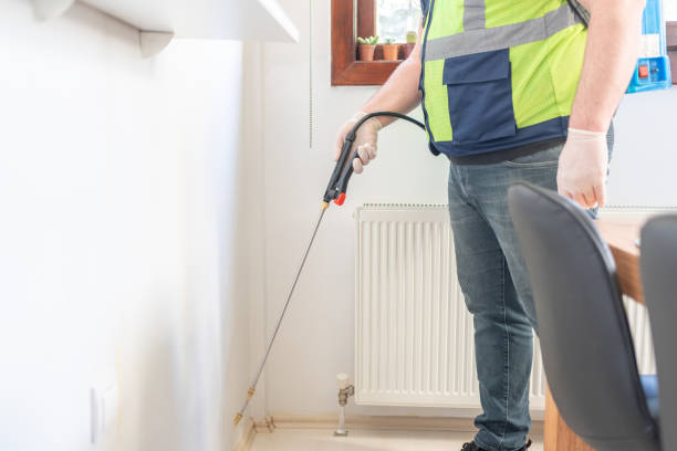 Best Termite Control Services  in Bremerton, WA