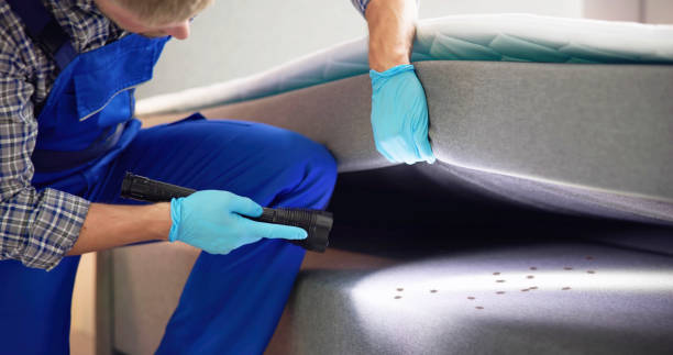 Reliable Bremerton, WA Pest Control Solutions