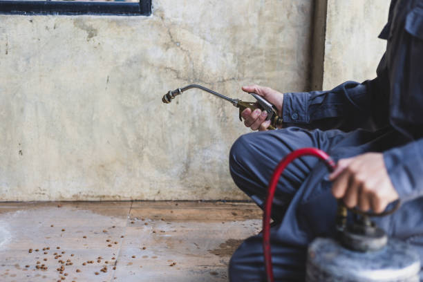 Best Pest Control Treatment  in Bremerton, WA